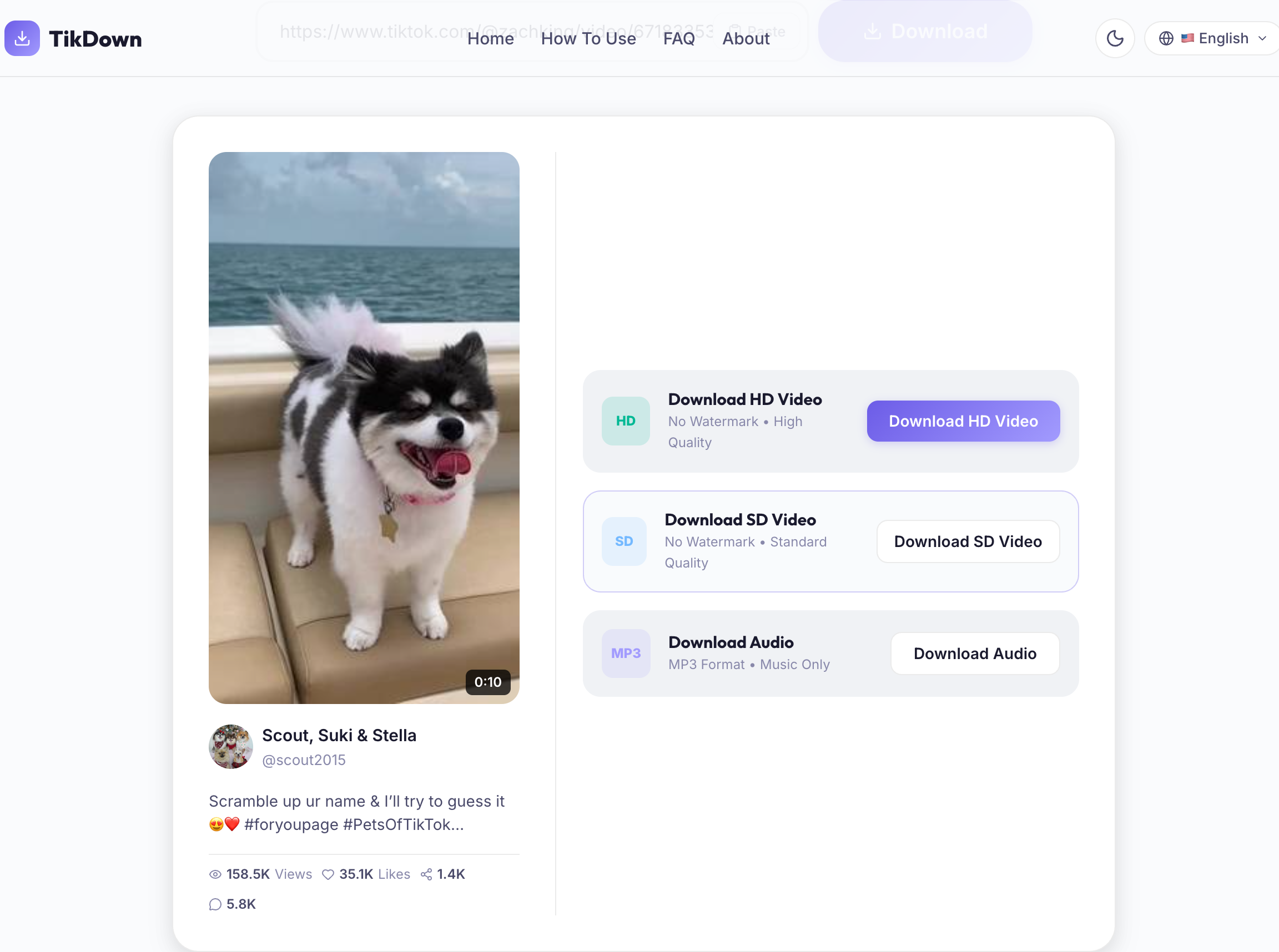 TikTok Downloader search, video preview, and download options TikTok downloader search input, video preview, and watermark-free HD download buttons